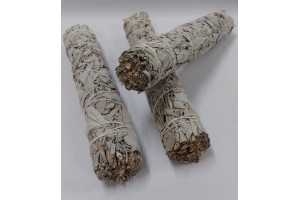 Atado Salvia Blanca 9" 22-23cm